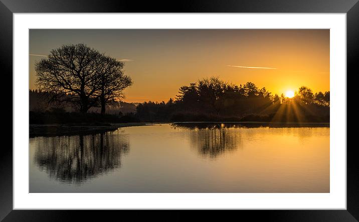 New Forest Sunrise Framed Mounted Print by Phil Wareham