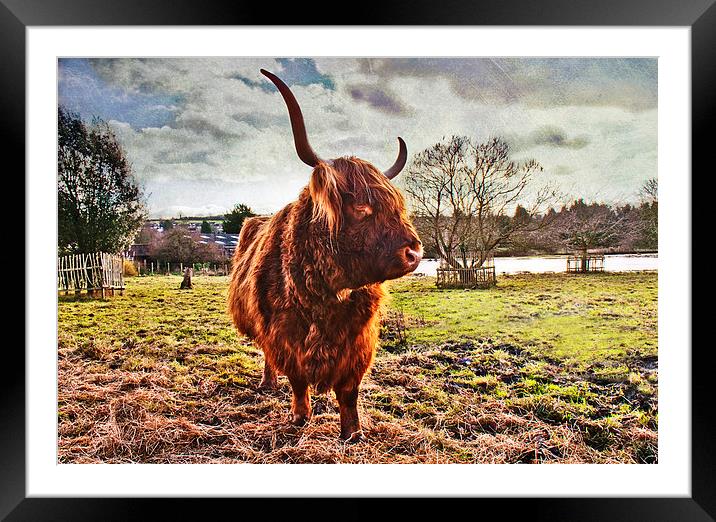 Stuck in the Mud Framed Mounted Print by Dawn Cox