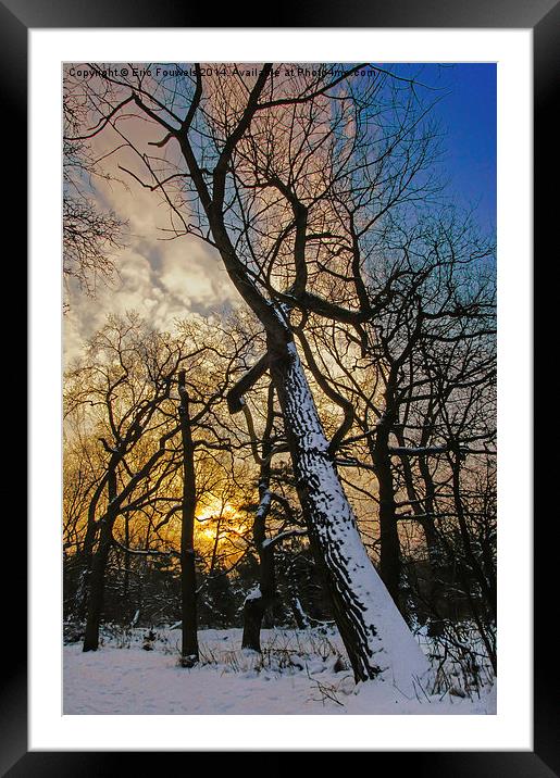 snow tree at sunrise Framed Mounted Print by Eric Fouwels