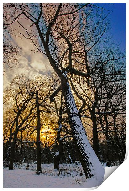 snow tree at sunrise Print by Eric Fouwels