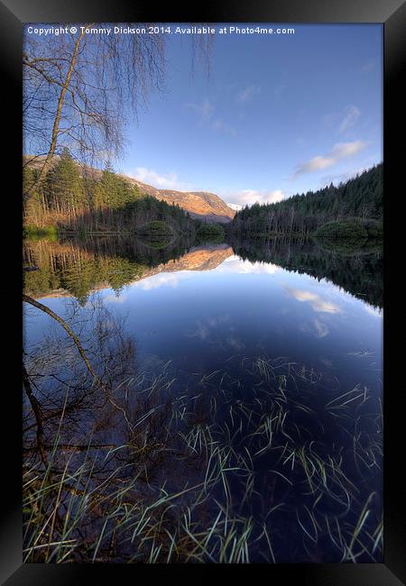 Tranquil Beauty of Glencoe Lochan Framed Print by Tommy Dickson