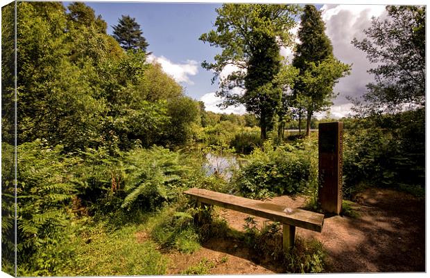 Stover Country Park in Newton Abbot Canvas Print by Jay Lethbridge