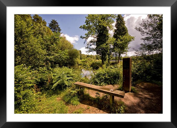 Stover Country Park in Newton Abbot Framed Mounted Print by Jay Lethbridge