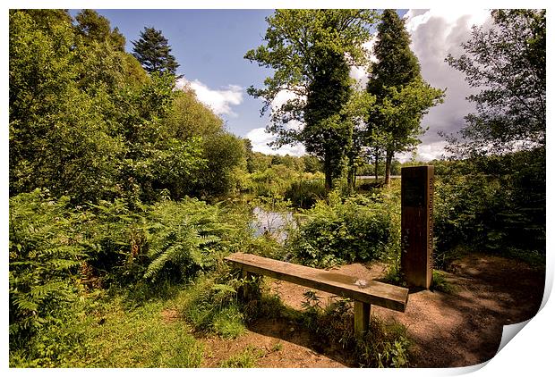 Stover Country Park in Newton Abbot Print by Jay Lethbridge