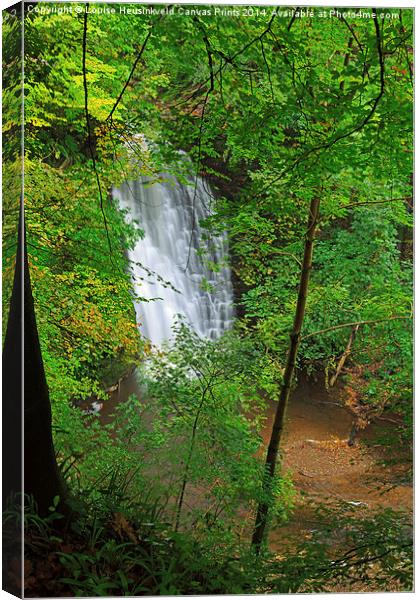 Falling Foss, North York Moors National Park Canvas Print by Louise Heusinkveld