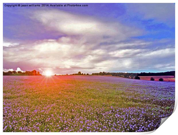 Linseed Glow Print by Jason Williams