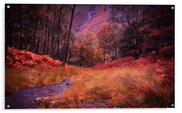 Autumn Lake District Landscape Acrylic by Ceri Jones