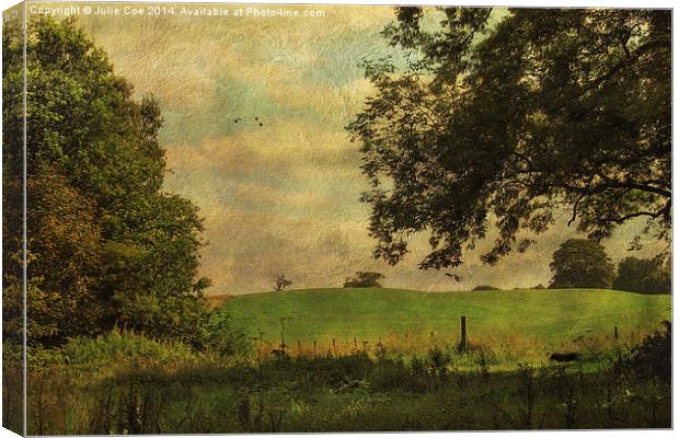 Blickling Woods Canvas Print by Julie Coe