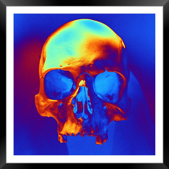 SKULL Framed Mounted Print by Matthew Lacey