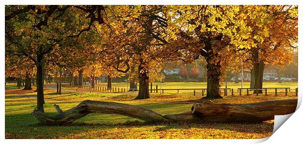 Prospect Park Autumn colours Print by Mark Hobson