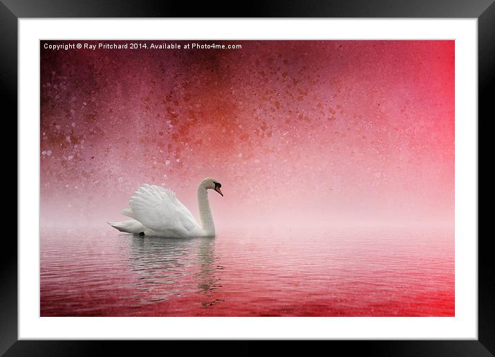 Drifting in Dreamland Framed Mounted Print by Ray Pritchard