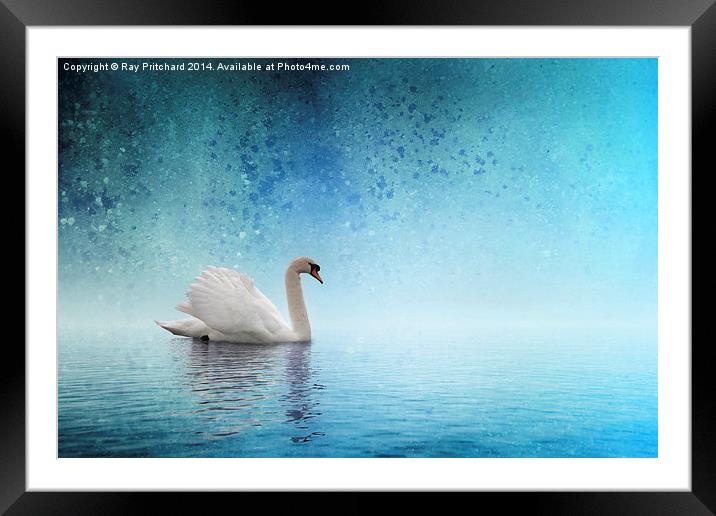 Drifting in Blue Waters Framed Mounted Print by Ray Pritchard