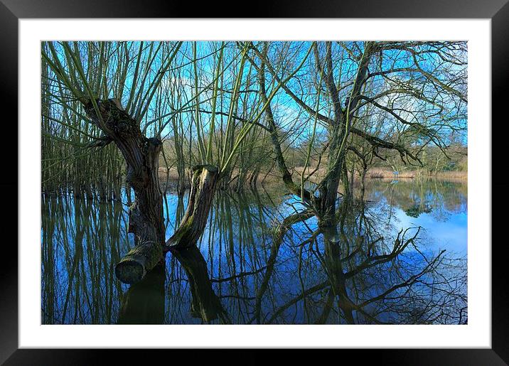 The flooded Stream Framed Mounted Print by Mark Hobson