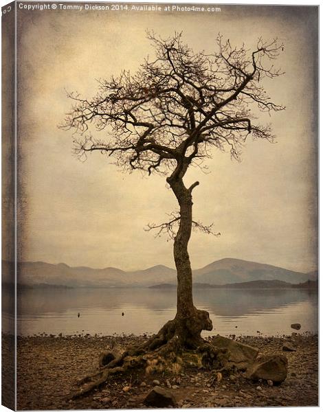 Solitude by the Loch Canvas Print by Tommy Dickson