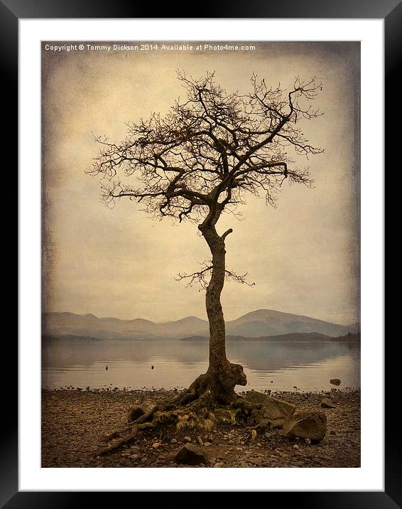 Solitude by the Loch Framed Mounted Print by Tommy Dickson