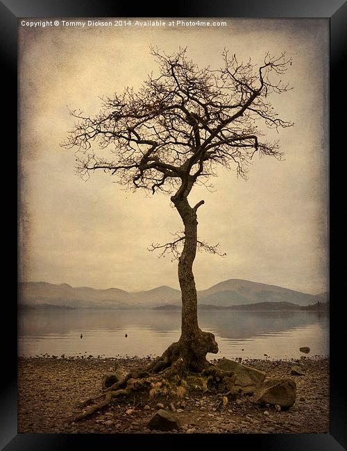 Solitude by the Loch Framed Print by Tommy Dickson