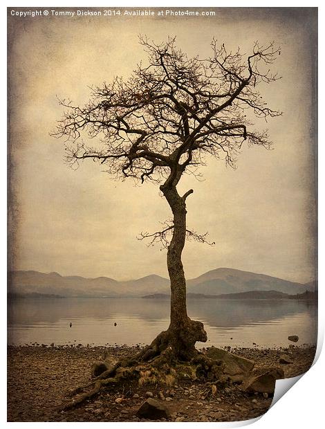 Solitude by the Loch Print by Tommy Dickson