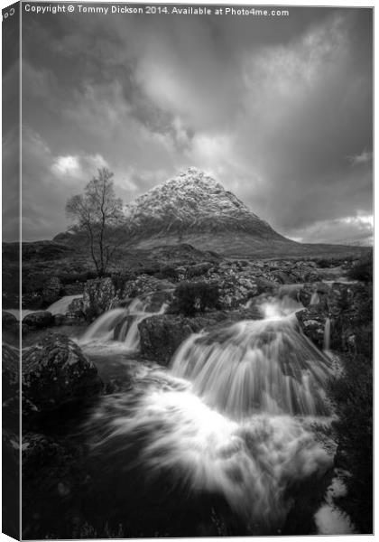 Buichaille Etive Mor Mono Canvas Print by Tommy Dickson