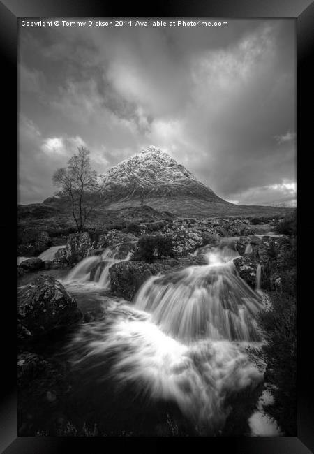 Buichaille Etive Mor Mono Framed Print by Tommy Dickson