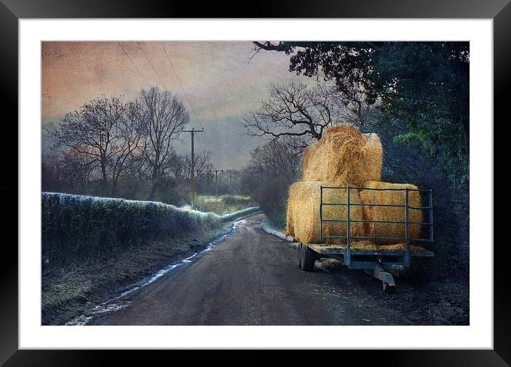 Down the lane Framed Mounted Print by Dawn Cox