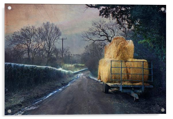Down the lane Acrylic by Dawn Cox