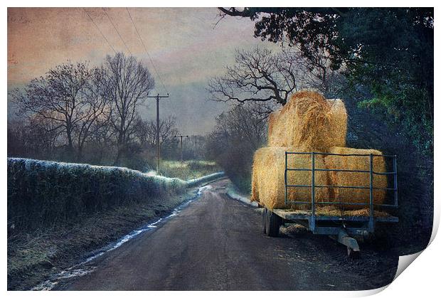 Down the lane Print by Dawn Cox