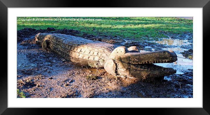 Look Out For Crocs Framed Mounted Print by philip milner