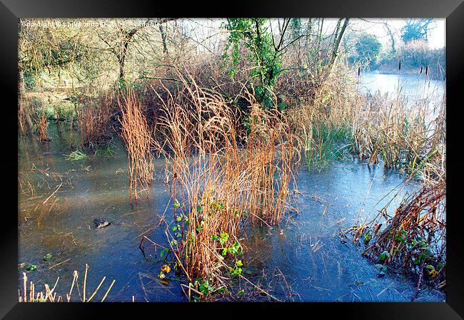 Frozen lake Framed Print by philip milner