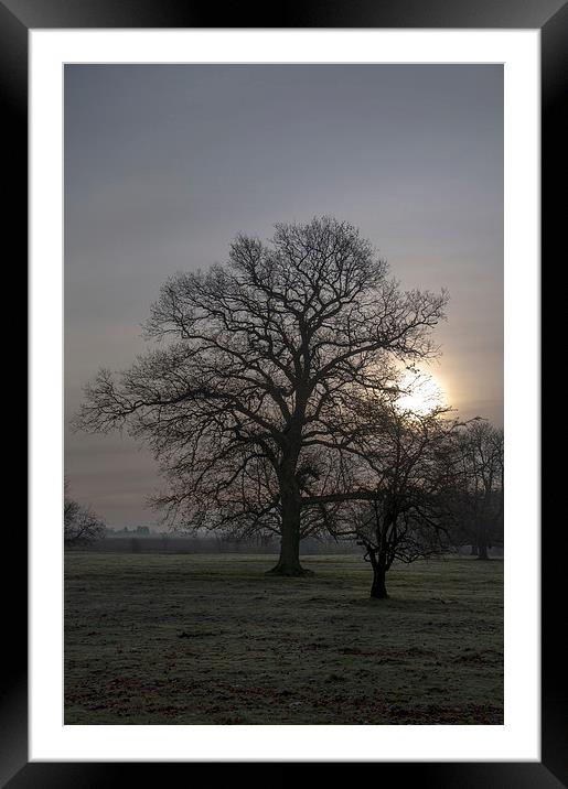 Autumn morning in Lincolnshire Framed Mounted Print by Kenneth Stockdale