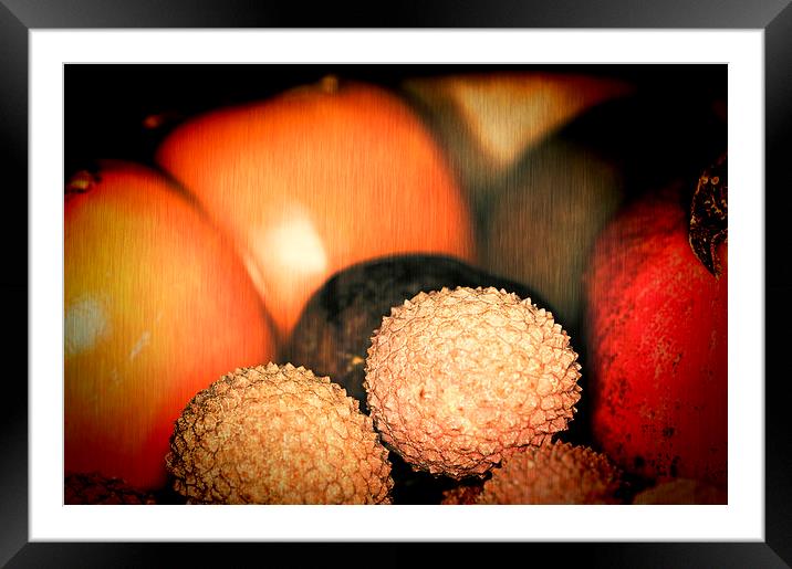 Exotique 3 Framed Mounted Print by Steve Purnell