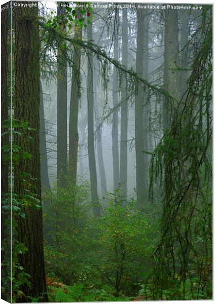 Misty woodland near May Beck and Falling Foss Canvas Print by Louise Heusinkveld