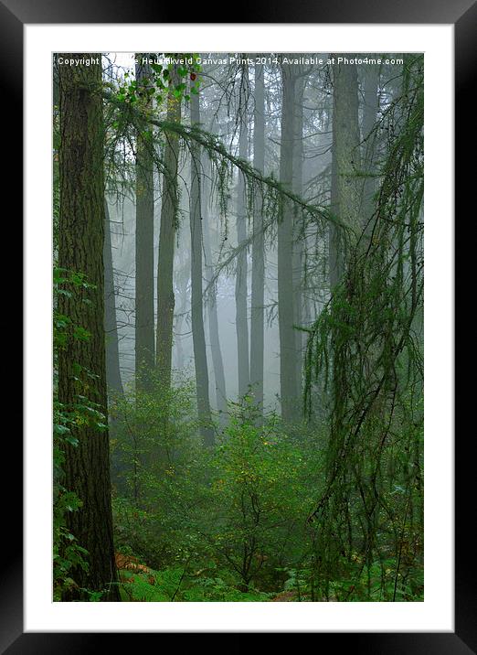 Misty woodland near May Beck and Falling Foss Framed Mounted Print by Louise Heusinkveld
