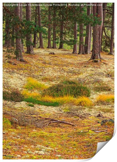 Lichens and Grasses Print by Louise Heusinkveld