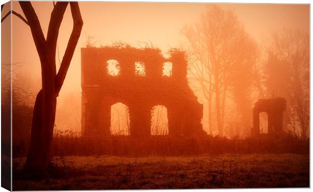 Ruins in the Mist Canvas Print by Robert Cane