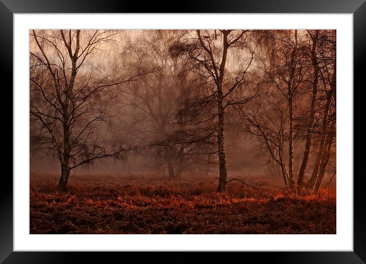 Winter Morning Mist Framed Mounted Print by Ceri Jones