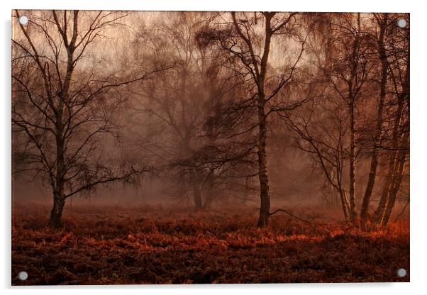 Winter Morning Mist Acrylic by Ceri Jones