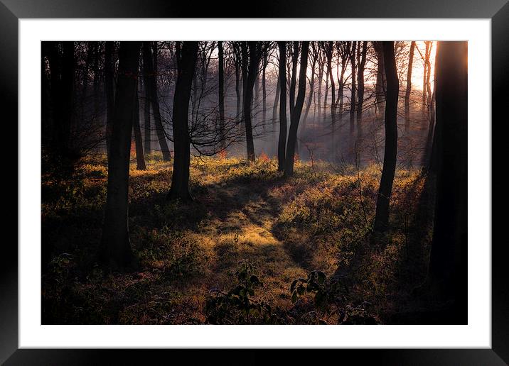 Winter Woodland Mist Framed Mounted Print by Ceri Jones