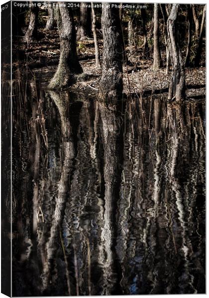 Mirrored Trees Canvas Print by Zoe Ferrie