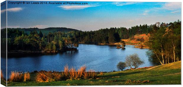 Tarn Hows Canvas Print by Ian Lewis