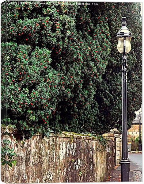 Red Berries and a Lampost Canvas Print by Bill Lighterness
