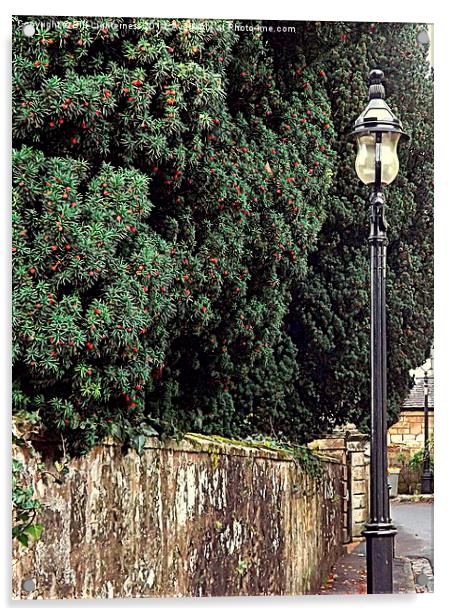 Red Berries and a Lampost Acrylic by Bill Lighterness
