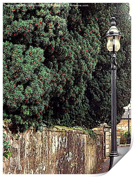 Red Berries and a Lampost Print by Bill Lighterness