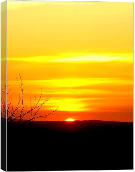 Sunset over the Clyde Valley 2 Canvas Print by Bill Lighterness