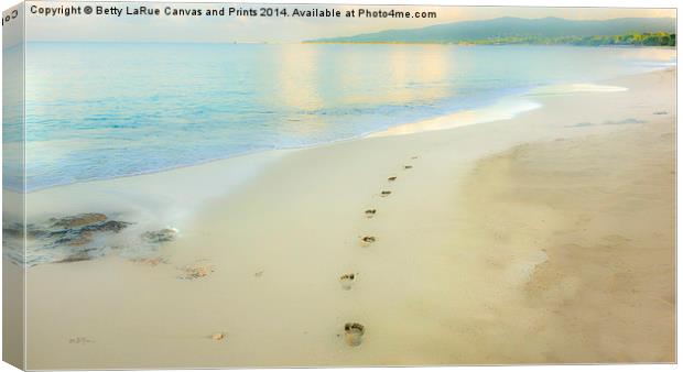 Footprints to Nowhere Canvas Print by Betty LaRue
