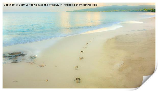 Footprints to Nowhere Print by Betty LaRue