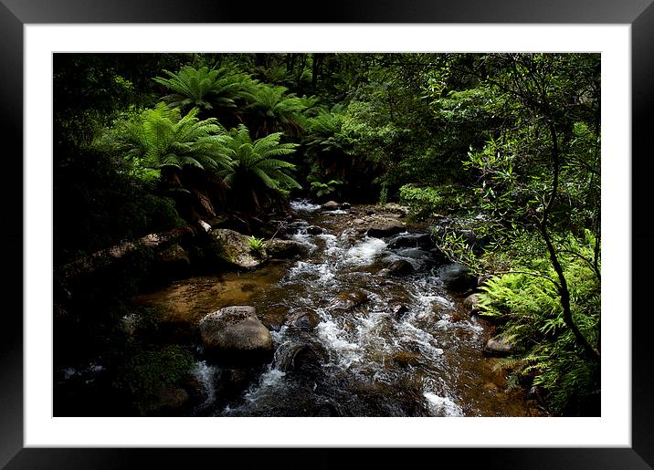 Taggerty River Rapids Framed Mounted Print by Graham Palmer