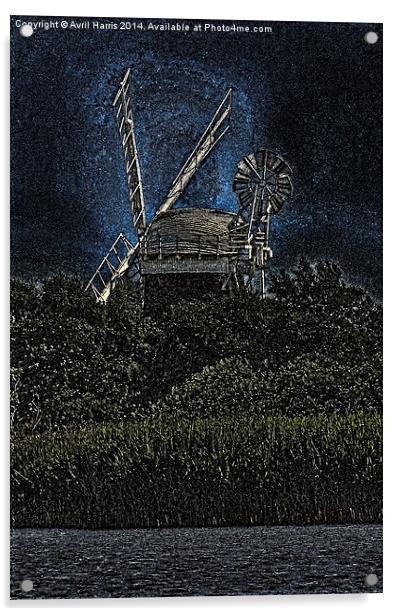 Horsey windmill Acrylic by Avril Harris