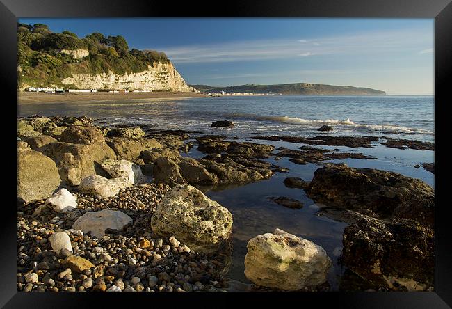 Low tide at Beer Framed Print by Pete Hemington