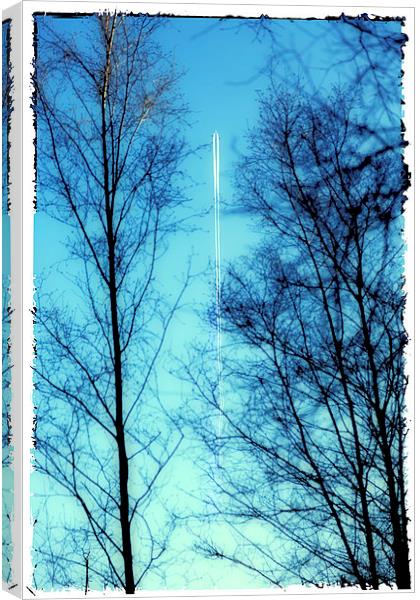 Distant Aeroplane in Blue Sky Canvas Print by Natalie Kinnear