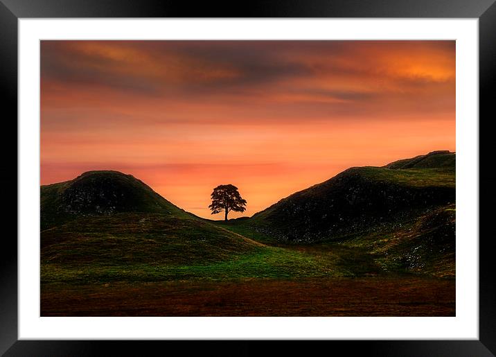 Sycamore gap Framed Mounted Print by Robert Fielding